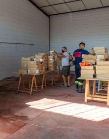 Imagen secundaria 2 - Marbella-Beirut, conexión humanitaria