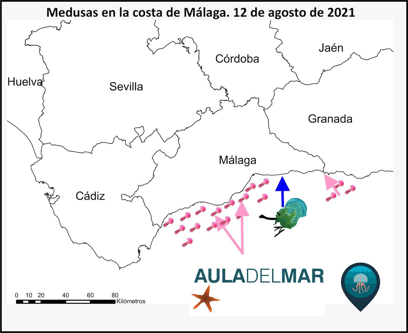 Medusas en la costa malagueña, este jueves 12 de agosto.