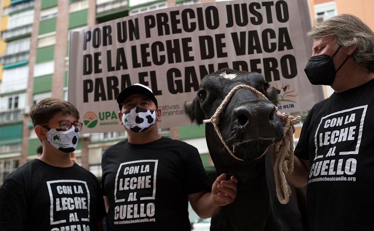 Generación sin relevo