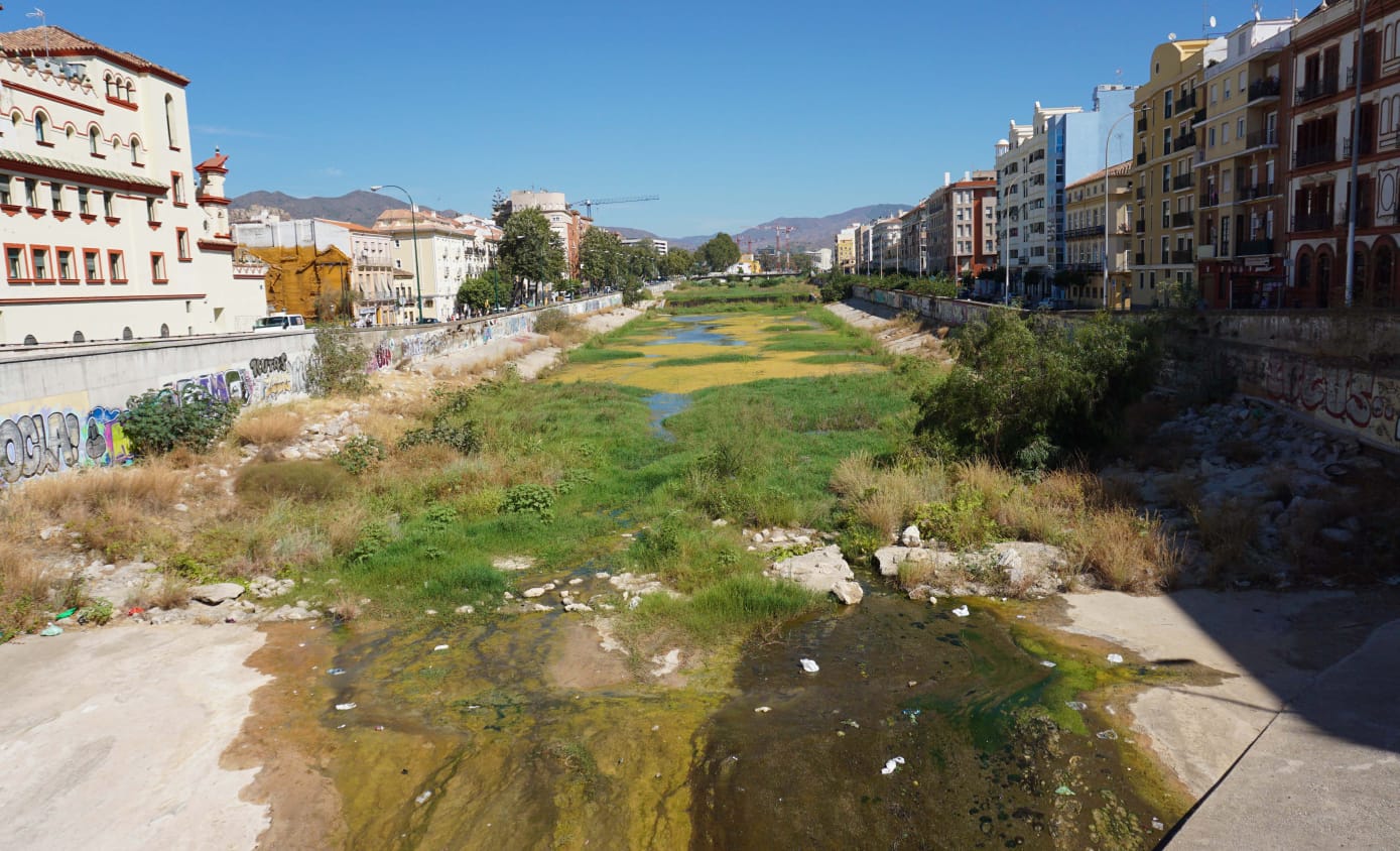 Expertos de la UMA advierten de que la vegetación descontrolada merma la capacidad de desagüe del río en caso de trombas
