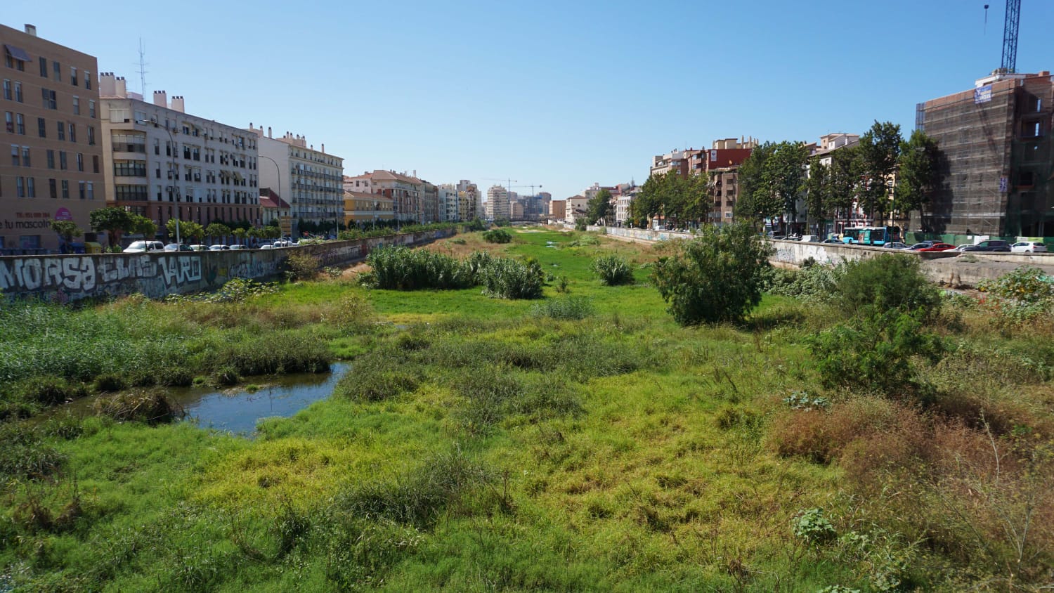 Expertos de la UMA advierten de que la vegetación descontrolada merma la capacidad de desagüe del río en caso de trombas