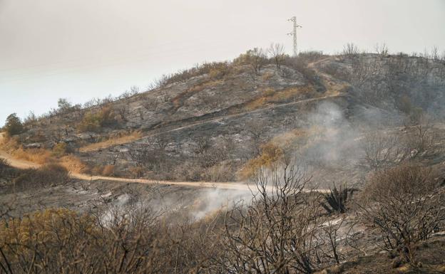 El incendio de Estepona, Jubrique y Genalguacil afecta a hectáreas de bosque mediterráneo y zona arbolada «importante»