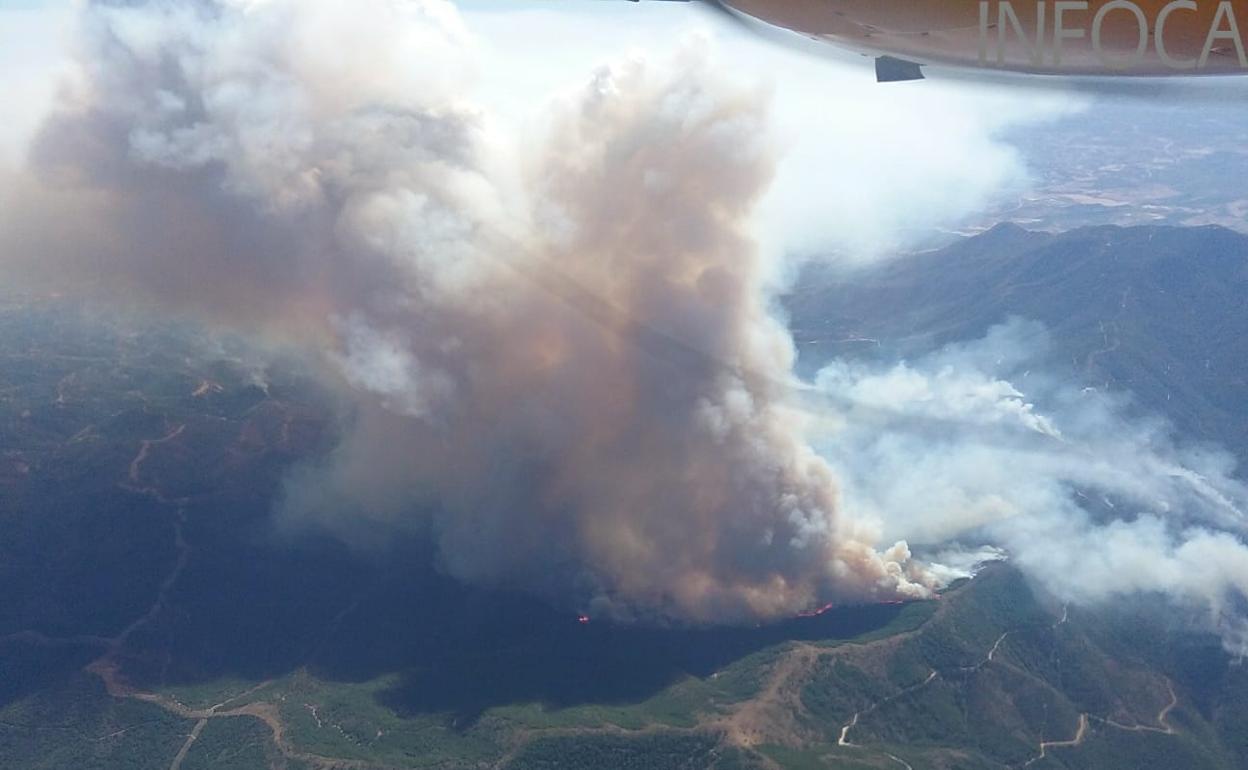 Fotos compartidas por Infoca del siniestro. 