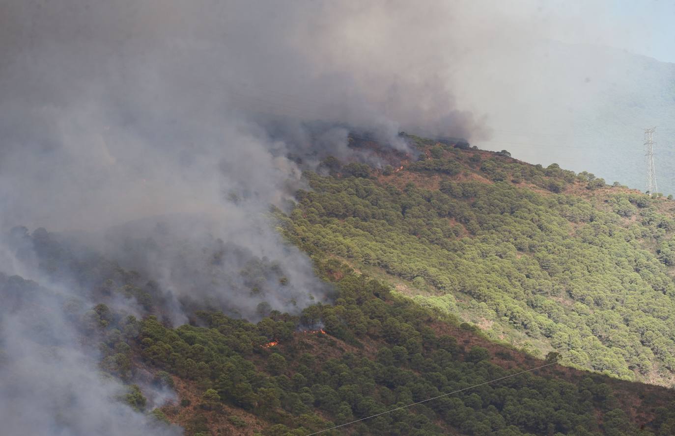 Más de 250 profesionales de Málaga, Granada, Cádiz, Córdoba, Jaén y Sevilla trabajan desde anoche en la zona de Sierra Bermeja donde se ha tenido que cortar al tráfico un tramo de la AP-7 y otras dos carreteras ante el avance de las llamas