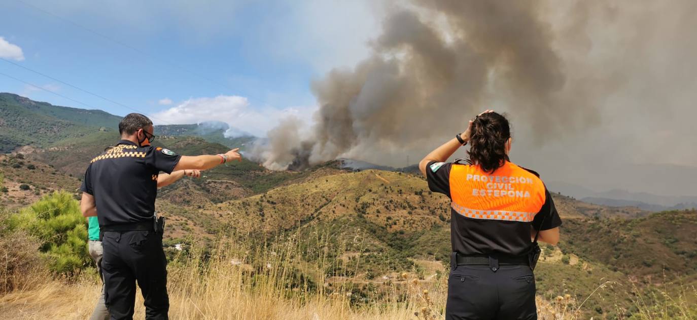 Más de 250 profesionales de Málaga, Granada, Cádiz, Córdoba, Jaén y Sevilla trabajan desde anoche en la zona de Sierra Bermeja donde se ha tenido que cortar al tráfico un tramo de la AP-7 y otras dos carreteras ante el avance de las llamas