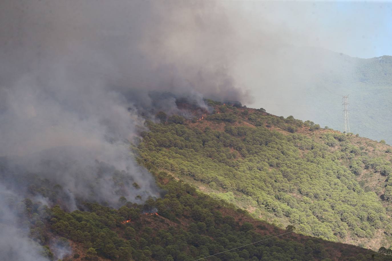 Más de 250 profesionales de Málaga, Granada, Cádiz, Córdoba, Jaén y Sevilla trabajan desde anoche en la zona de Sierra Bermeja donde se ha tenido que cortar al tráfico un tramo de la AP-7 y otras dos carreteras ante el avance de las llamas