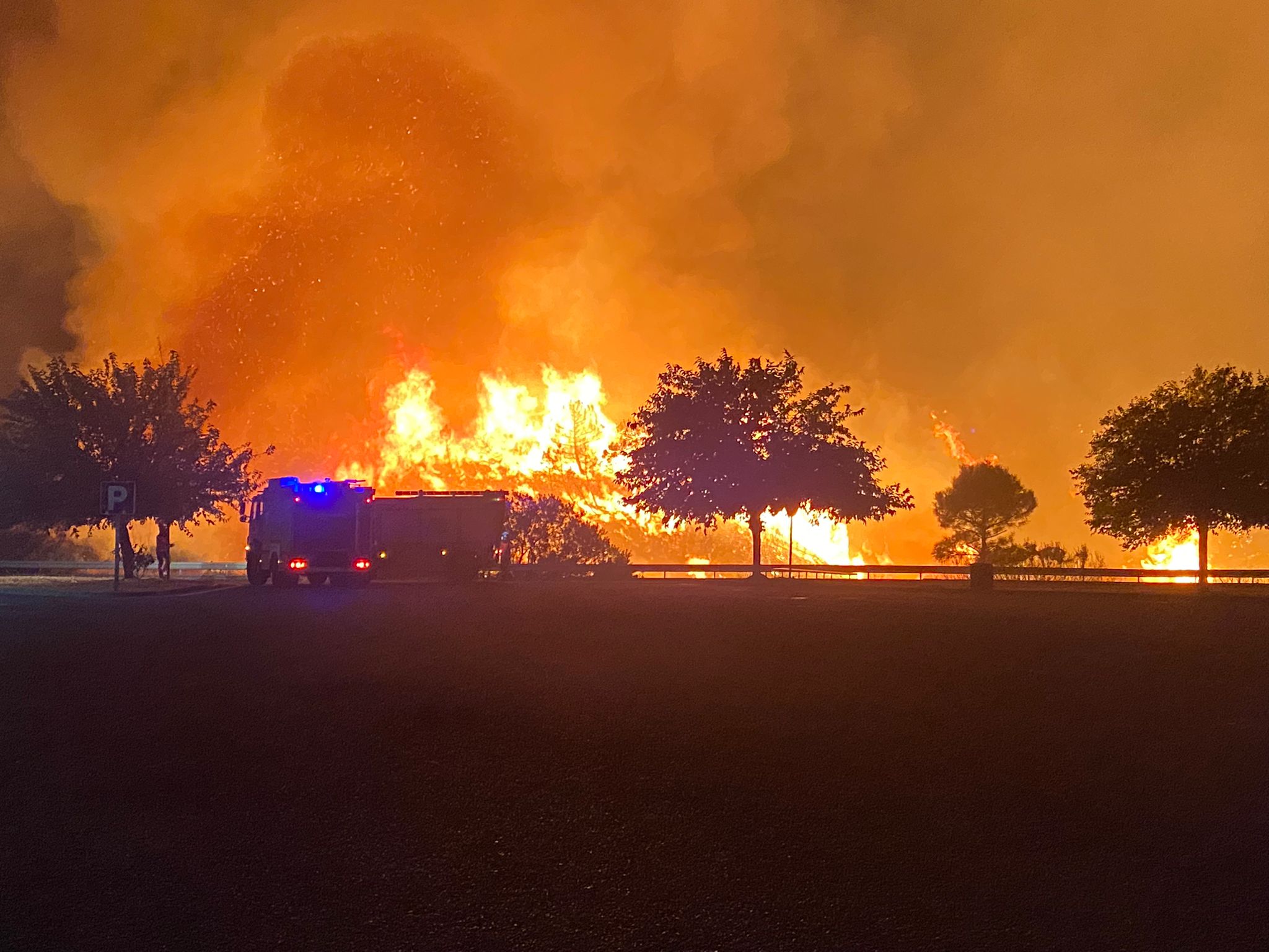 Más de 250 profesionales de Málaga, Granada, Cádiz, Córdoba, Jaén y Sevilla trabajan desde anoche en la zona de Sierra Bermeja donde se ha tenido que cortar al tráfico un tramo de la AP-7 y otras dos carreteras ante el avance de las llamas