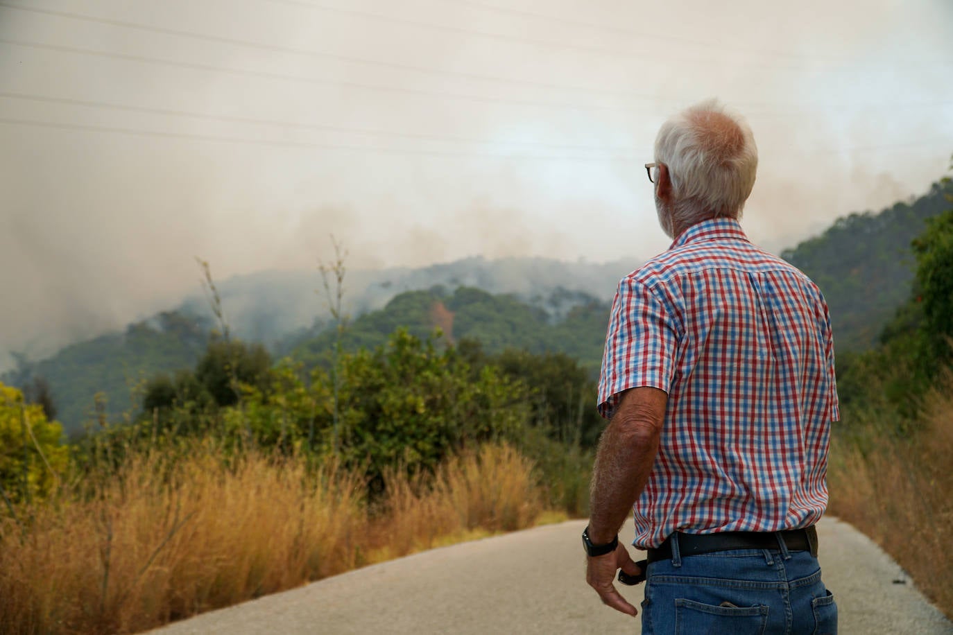 Más de 250 profesionales de Málaga, Granada, Cádiz, Córdoba, Jaén y Sevilla trabajan desde anoche en la zona de Sierra Bermeja donde se ha tenido que cortar al tráfico un tramo de la AP-7 y otras dos carreteras ante el avance de las llamas