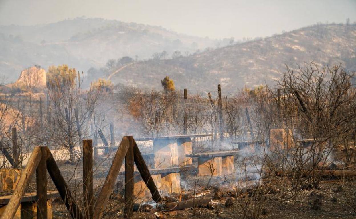 Incendio en Málaga: El alcalde de Genalguacil alerta de que el fuego empeora en el municipio y reclama medios