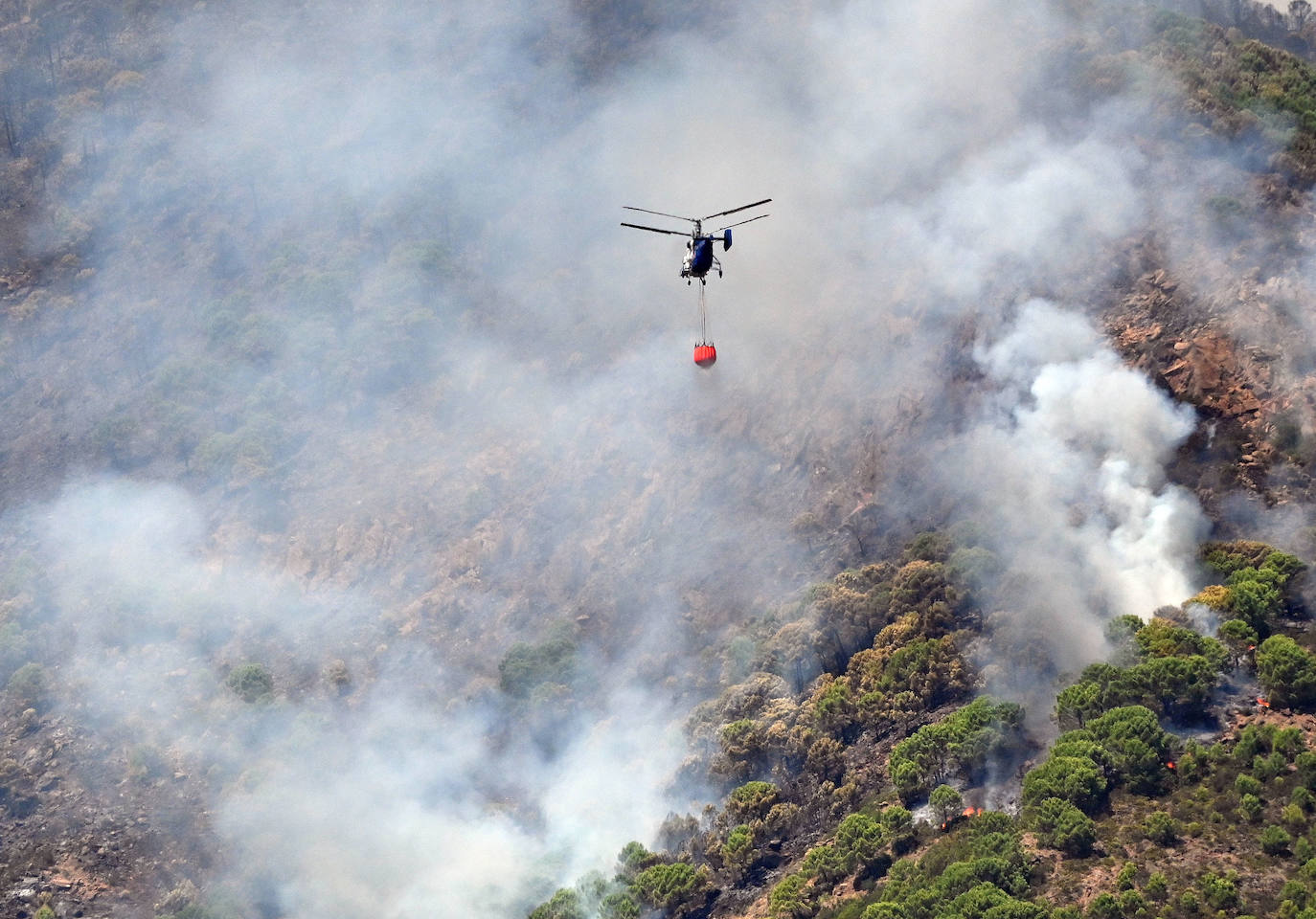 Este sábado se han movilizado 41 medios aéreos y unos 400 efectivos por tierra para luchar contra las llamas que no han afectado al pinsapar de la zona. Los nuevos desalojos elevan a 1.054 el número total de evacuados