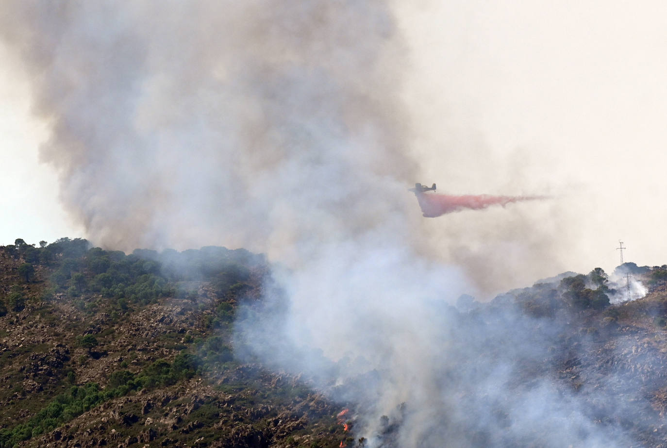 Este sábado se han movilizado 41 medios aéreos y unos 400 efectivos por tierra para luchar contra las llamas que no han afectado al pinsapar de la zona. Los nuevos desalojos elevan a 1.054 el número total de evacuados