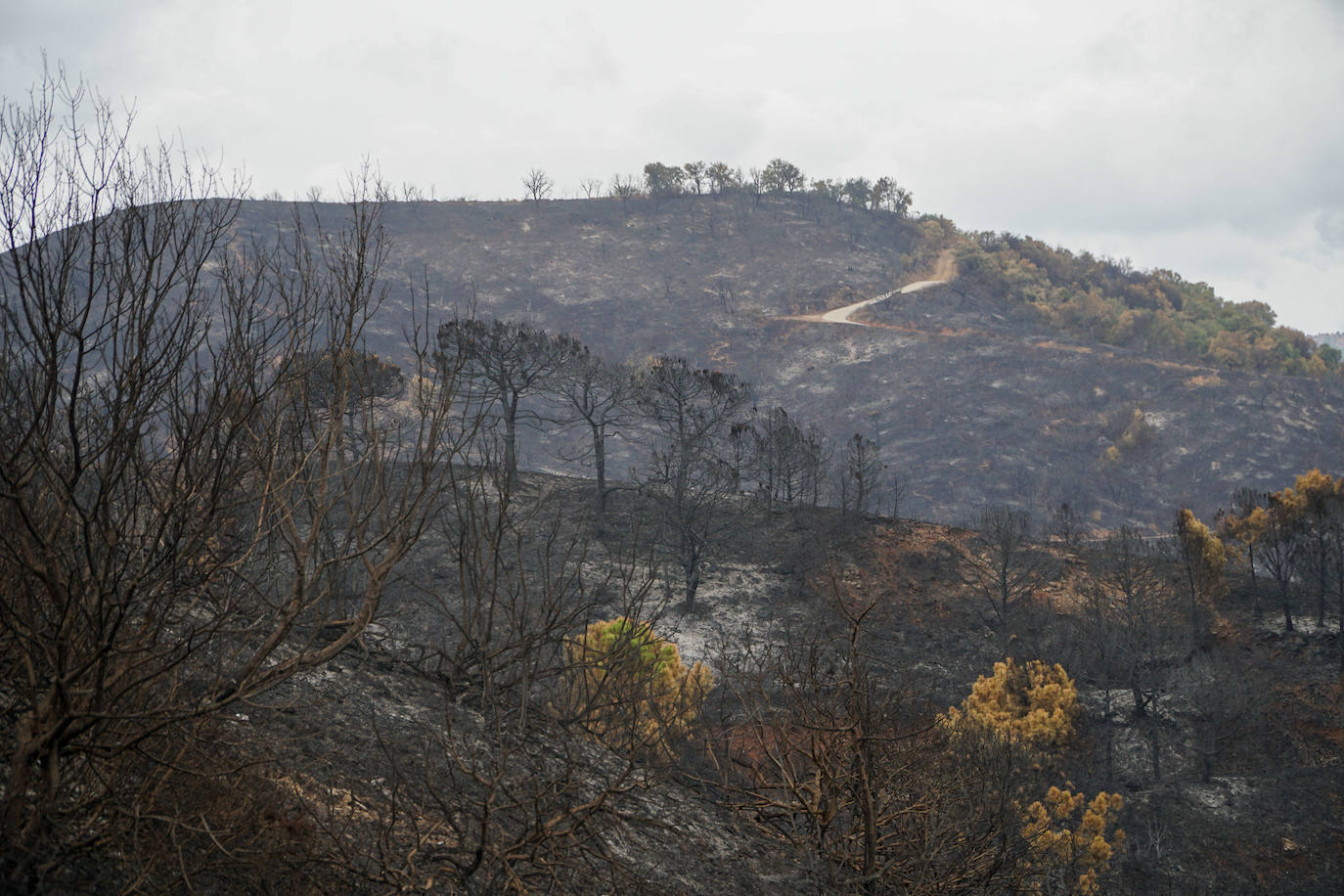 El incendio se bifurca y avanza en dos frentes este lunes