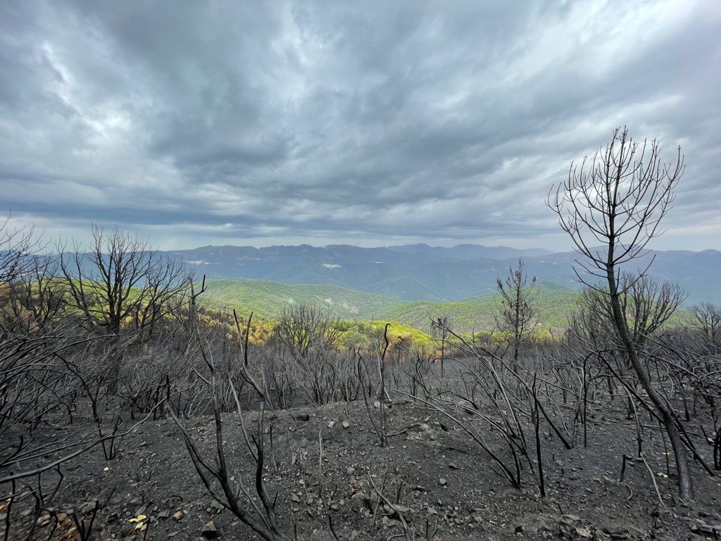 Imagen de los efectos del Incendio, este martes