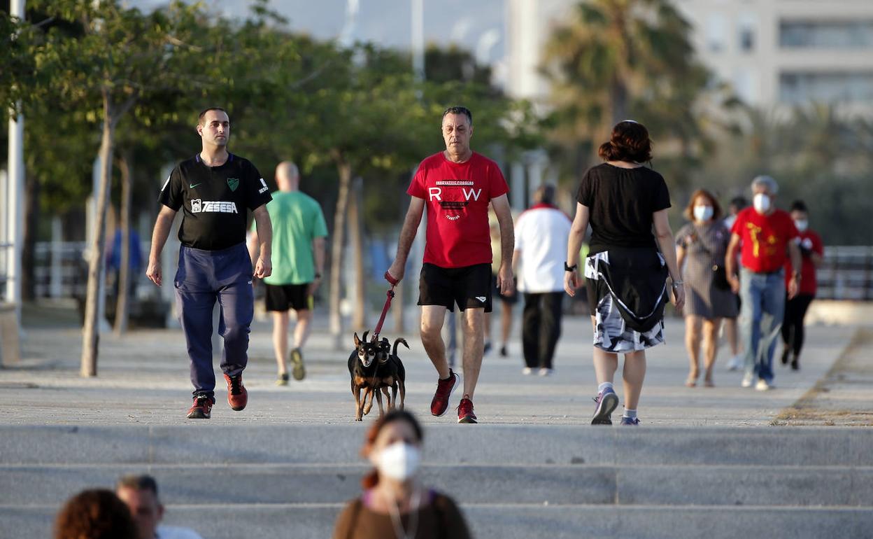 Imagen de archivo del Paseo Marítimo Antonio Banderas de Málaga 