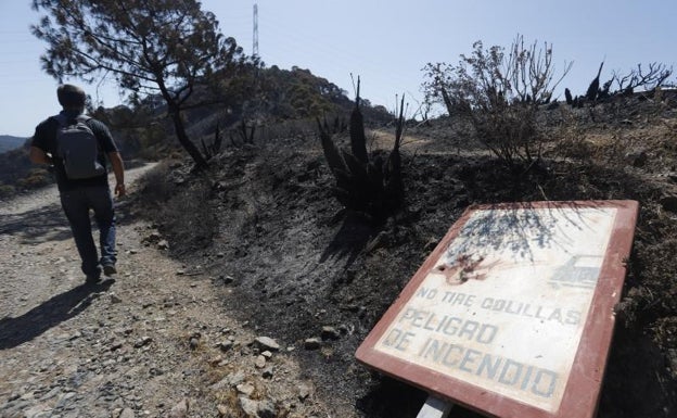 Cortan varios accesos al incendio de Sierra Bermeja por la afluencia de curiosos para captar fotos