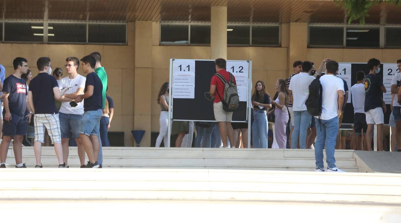 Los estudiantes de Medicina, los primeros en volver a las aulas de la UMA. 