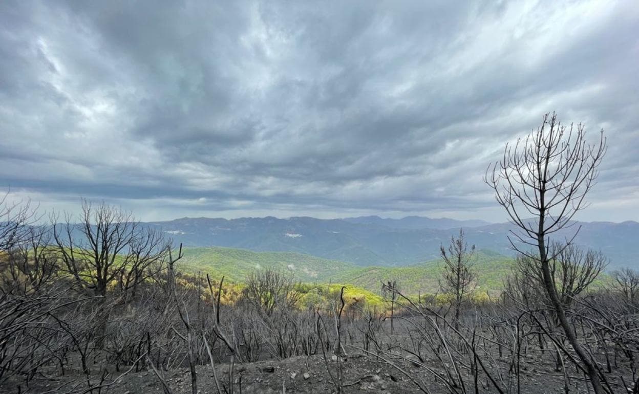 Incendio Sierra Bermeja: El incendio aumentará «gravemente» la posibilidad de inundaciones en Estepona, según un experto de la UMA