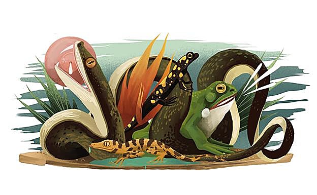 Ni los sapos escupen, ni las culebras maman: mitos de anfibios y reptiles