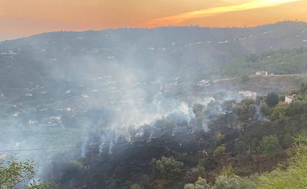 Imagen principal - Extinguido el incendio forestal de Frigiliana