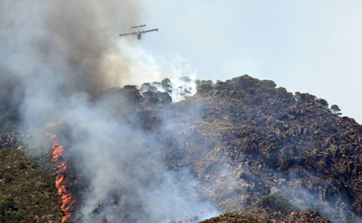 Actuación del Infoca durante el incendio de Sierra Bermeja.