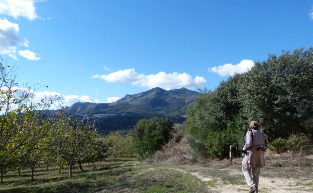 La primera mitad del camino es prácticamente llana. FOTO: Gran Senda de Málaga.