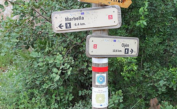 Imagen principal - Señalética oficial de la ruta. Pinar de Nagüeles (FOTO: Gran Senda de Málaga). Esta ruta se cruza con la del arroyo de los Monjes.