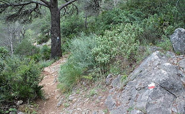 El camino es muy angosto en buena parte del recorrido