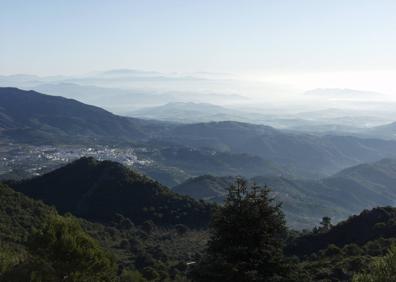Imagen secundaria 1 - Acceso al puerto del Caucón. Vista de Yunquera entre neblinas. Durante el recorrido se verán muchos ejemplares de pinsapos.
