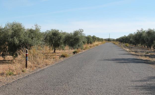 Carril asfaltado por el que se camina en la primera parte de esta etapa