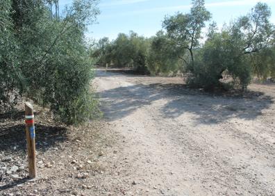 Imagen secundaria 1 - Señal de aviso de cruce por carretera. Desvío por carril de tierra. Cortijo situado cerca del camino.