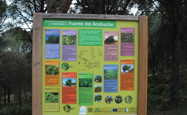 Imagen principal - Cartel que alude a los senderos locales de la Fuente del Acebuche. Buena parte del recorrido se hace bajo un espeso pinar. Señalética oficial de la Gran Senda de Málaga.