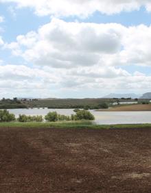 Imagen secundaria 2 - Señalética de una de las lagunas. Flamencos en la Laguna Redonda. A lo lejos se ve la Laguna de Toro.