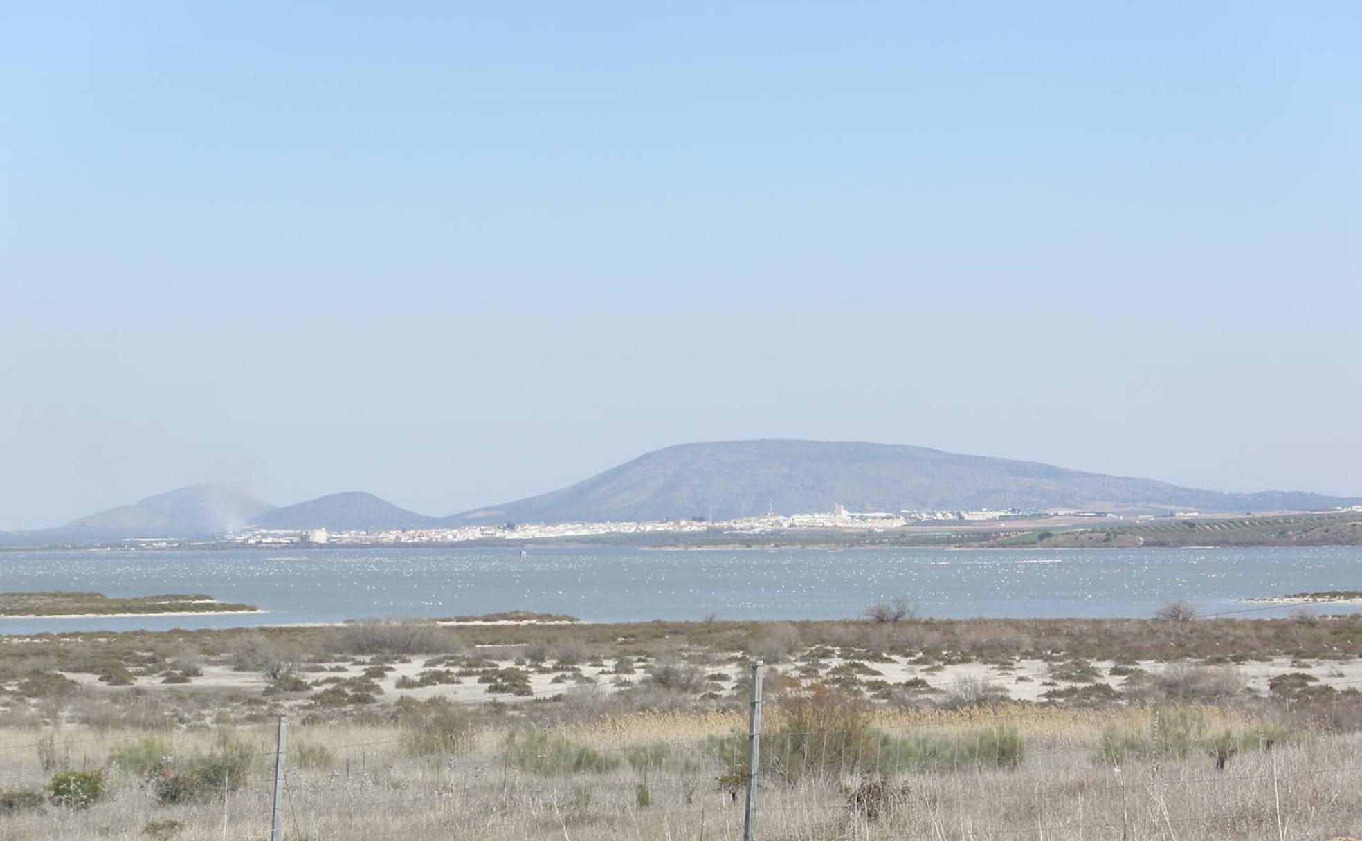 Panorámica de la reserva natural de la Laguna de Fuente de Piedra.