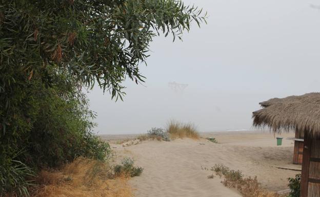 Imagen principal - En algunos puntos se ven algunas de las caras más salvajes de la costa marbellí. Reserva ecológica de las Dunas de Marbella. Pequeñas pasarelas para acceder a la playa por las dunas.