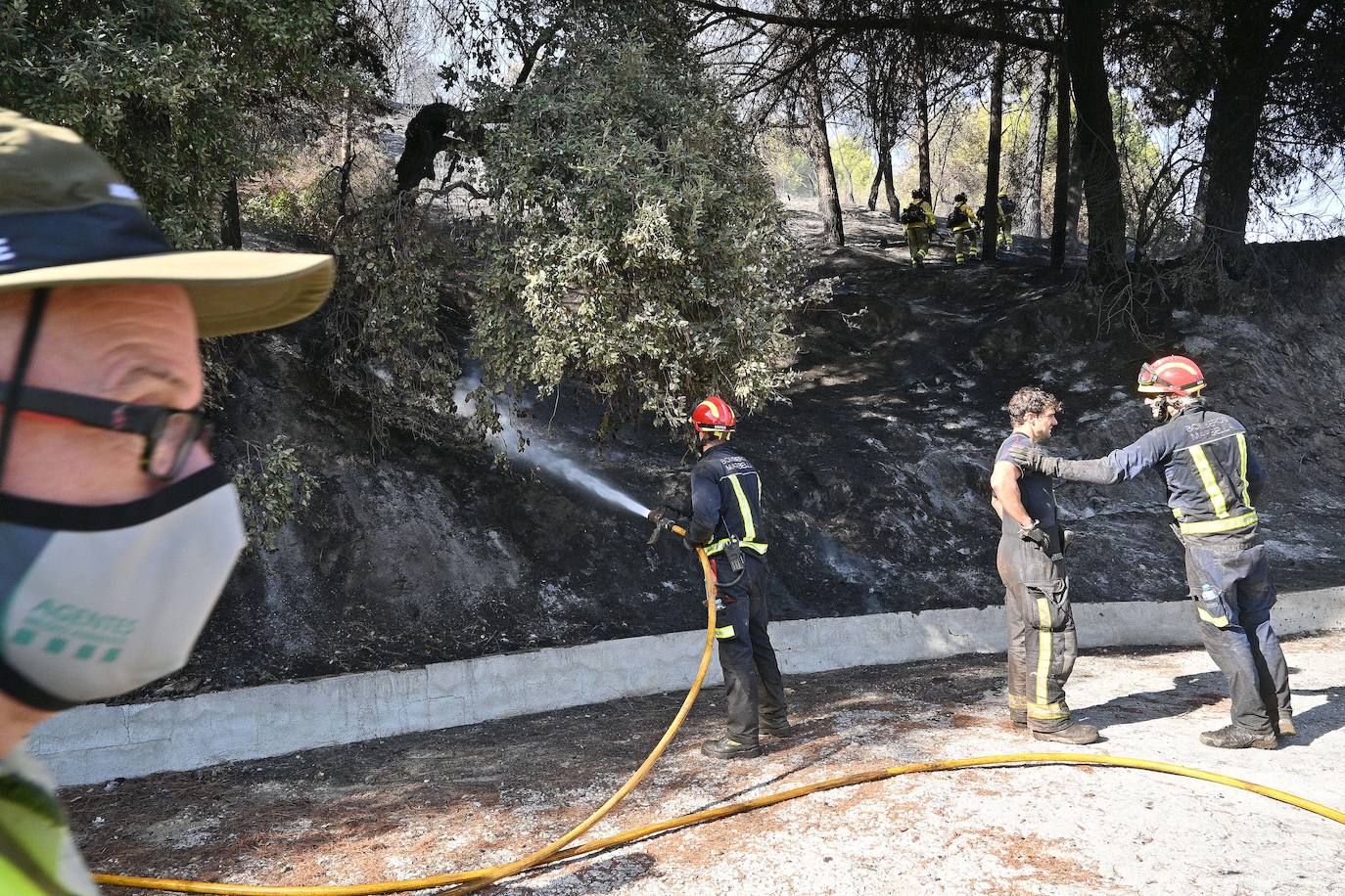 Incendio forestal en el paraje Sierra Blanca, en Ojén. 