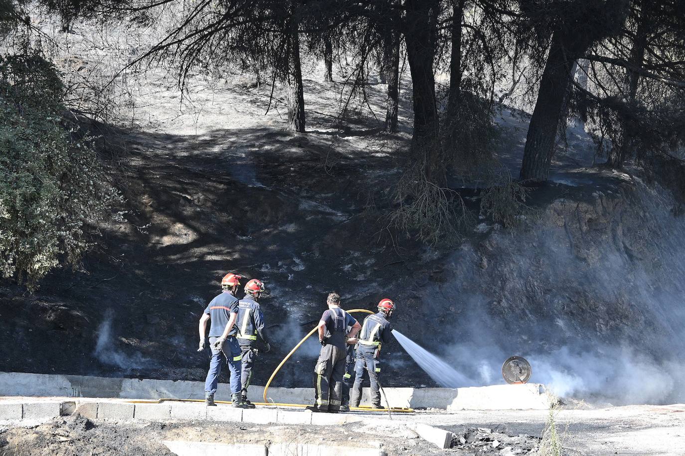 Incendio forestal en el paraje Sierra Blanca, en Ojén. 