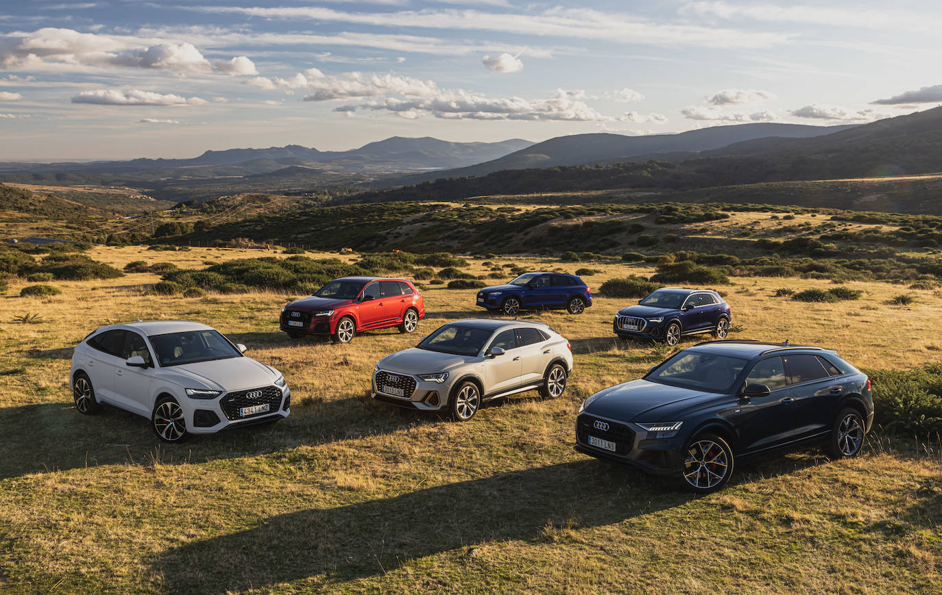 Fotos: Fotogalería: gama Audi TFSIe híbrida enchufable