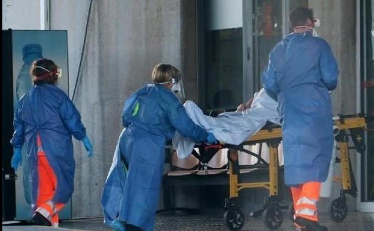 Andalucía registra 275 contagios y tres muertes por coronavirus en 24 horas