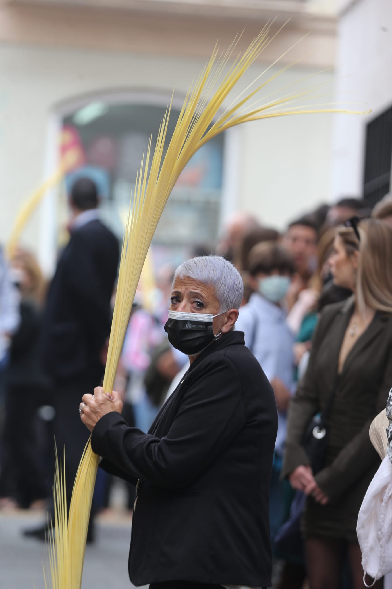 Dieciséis tronos recorren la ciudad para conmemorar el centenario de la Agrupación de Cofradías de Málaga en un evento histórico. En la imagen, Pollinica.