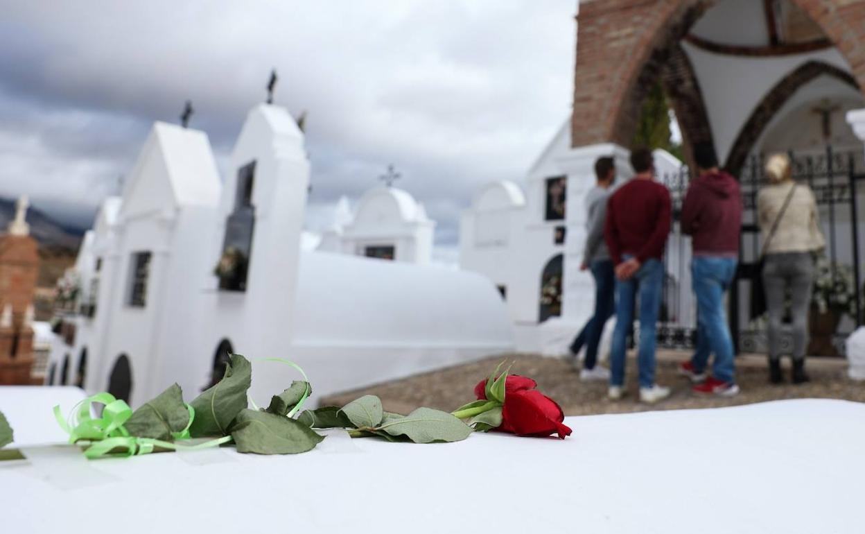 Imagen del cementerio de Casabermeja