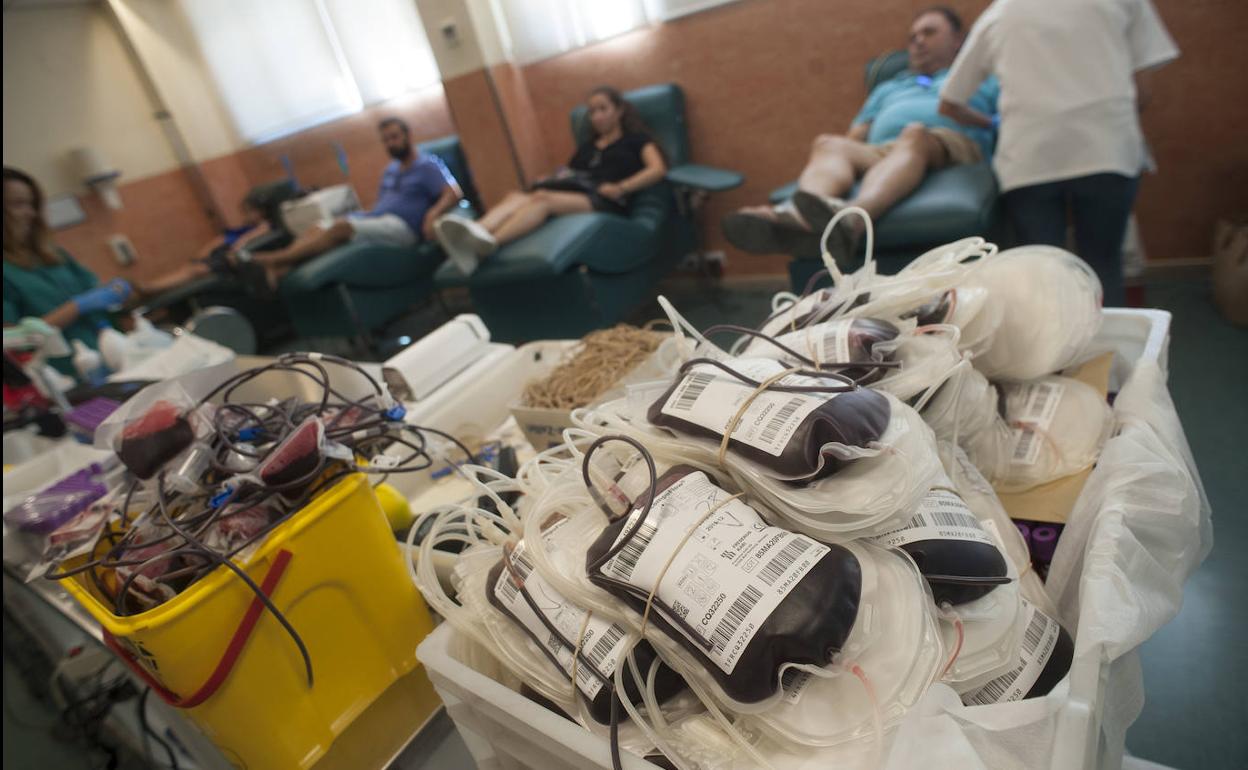 Cada día hacen falta 250 bolsas de sangre en Málaga. 