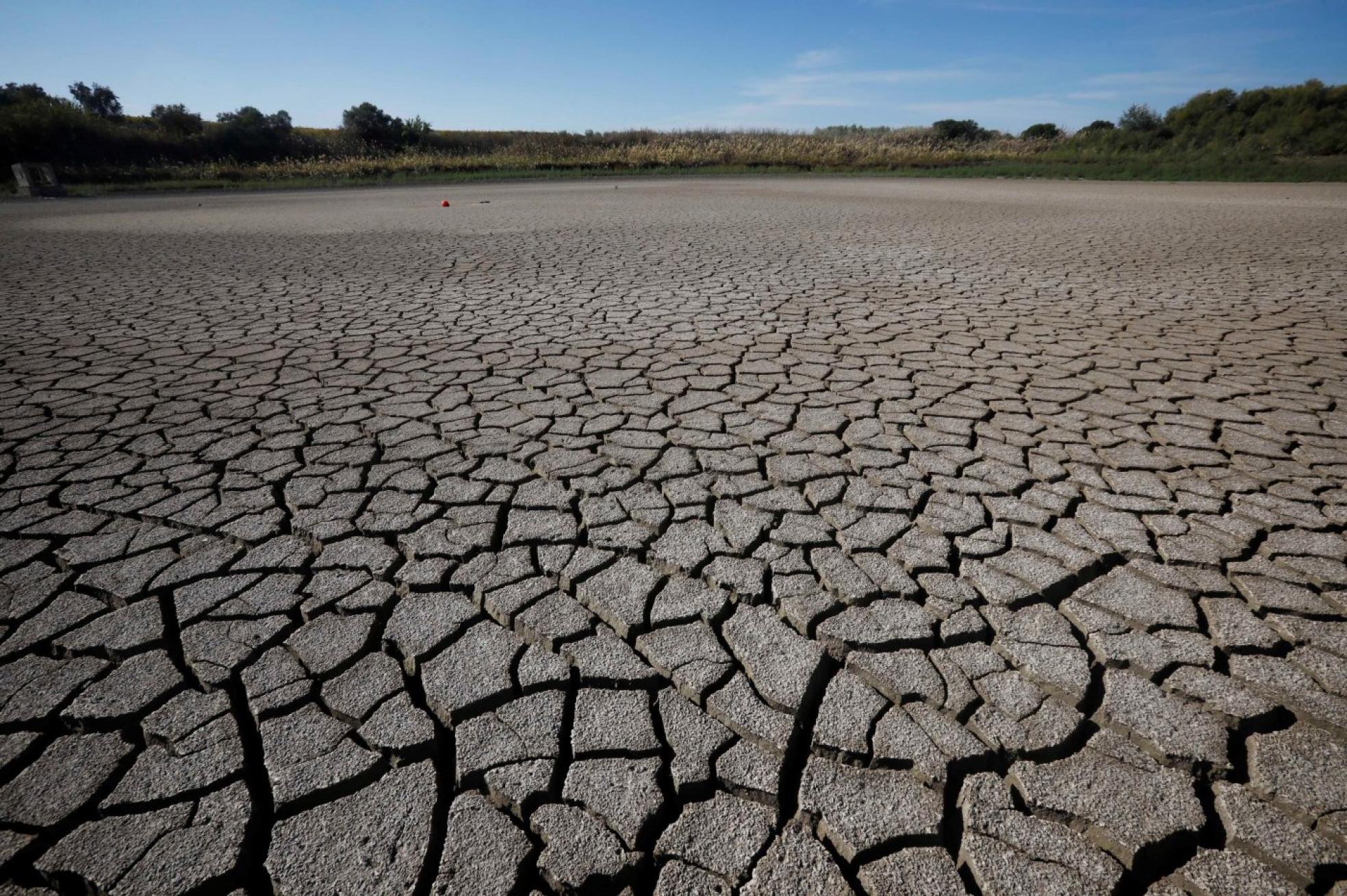 La sequía enciende la alerta en el campo andaluz