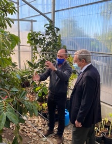 Imagen secundaria 2 - El consejero ha visitado las instalaciones de la finca experimental junto a su director, Enrique Moriones. 