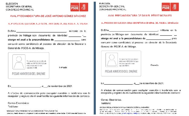 Modelo de avales para cada uno de los dos candidatos.