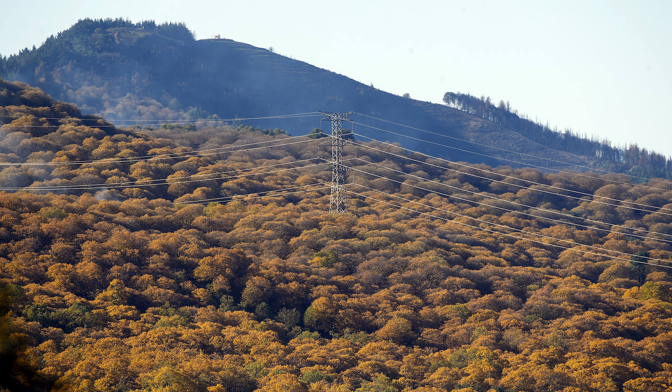 Los bellos colores del otoño en el Valle del Genal. 