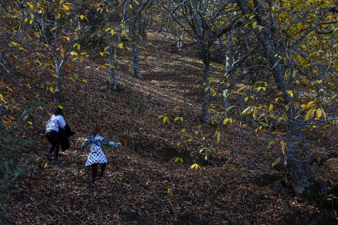 Los bellos colores del otoño en el Valle del Genal. 
