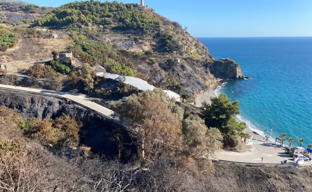 Imagen principal - Arriba, imagen de la zona afectada junto a la torre vigía de Maro; debajo restos de la vivienda de la familia con tres hijos. 