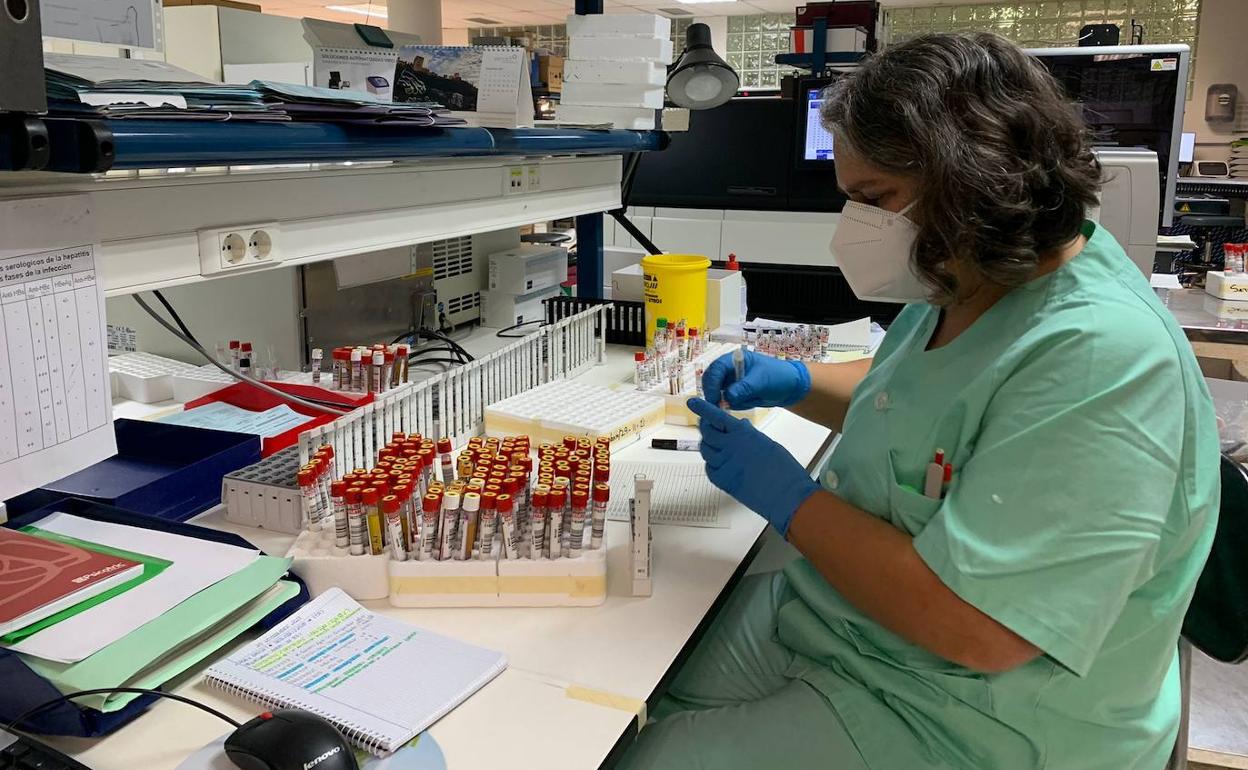 Procesamiento de muestras en el laboratorio de microbiología del Clínico. 