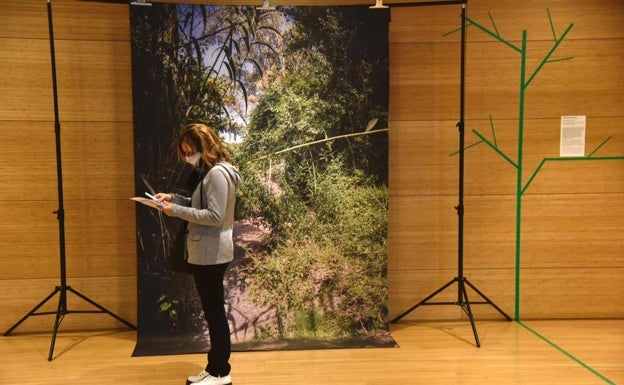 Imagen principal - Arriba, pieza de Noelia García Bandera. Abajo, las obras de Nicolas Sasson & Rick Silva, y de Sabrina Ratté. 