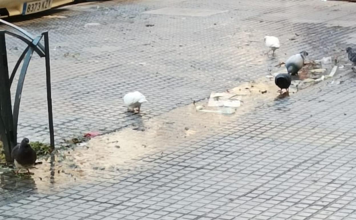 Vista del estado de la calzada en la Plaza Basconia. 